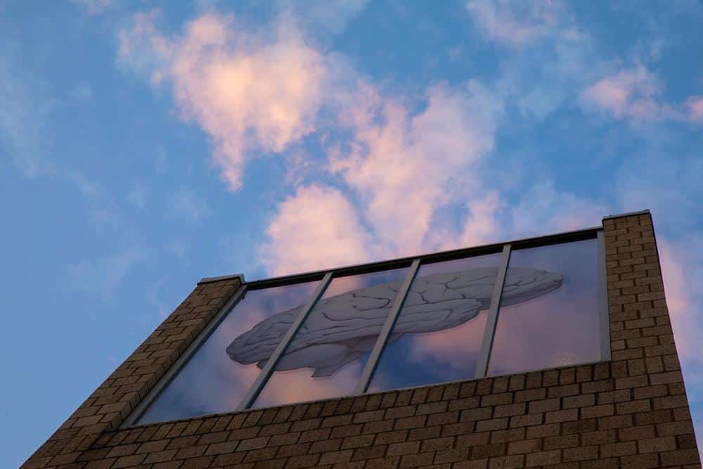 First-Class Education At Binghamton University 1 binghamton university in new york