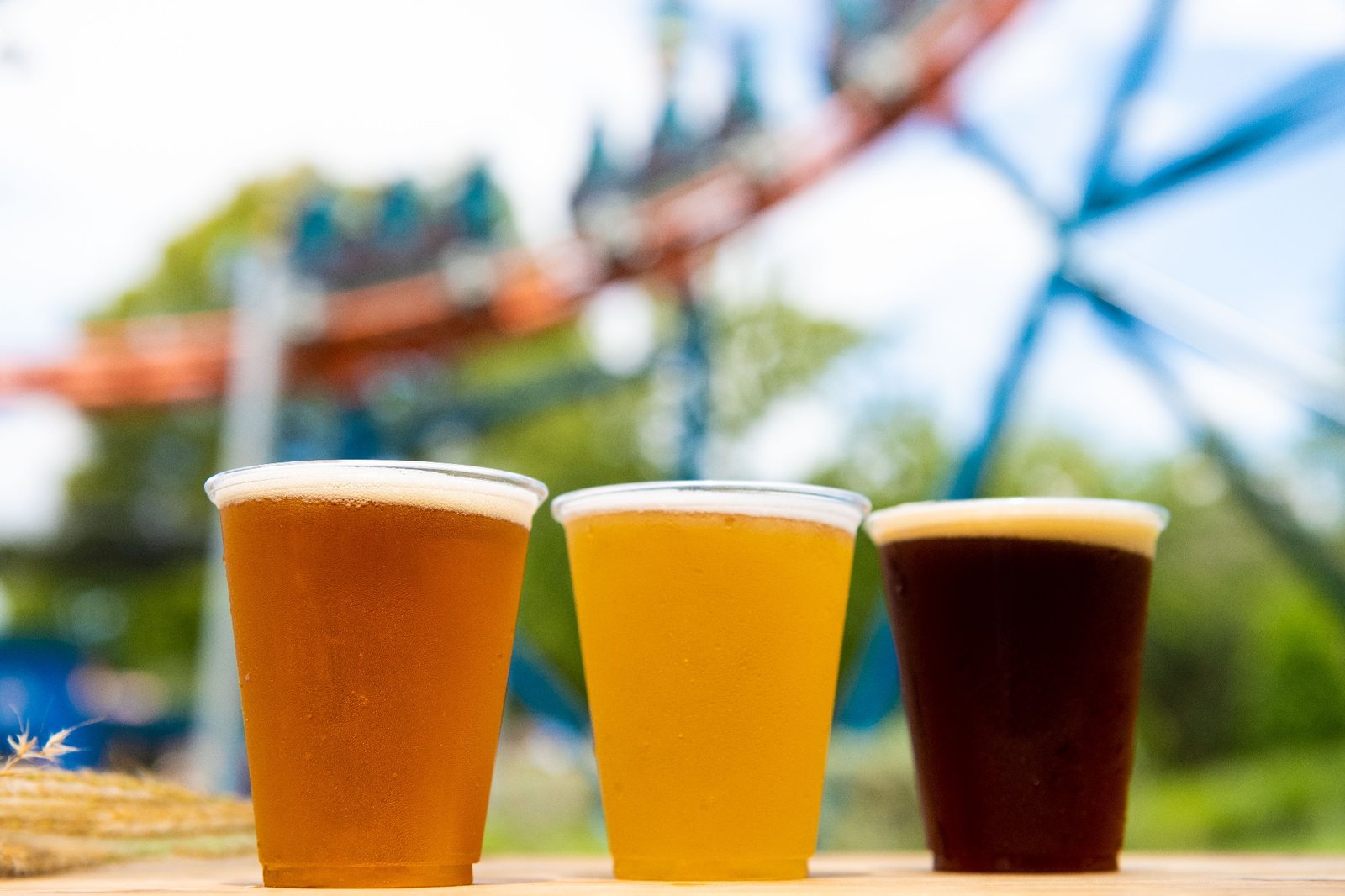 SeaWorld Orlando Welcomes Back Its Craft Beer Festival 1 Craft Beer Festival at SeaWorld Orlando