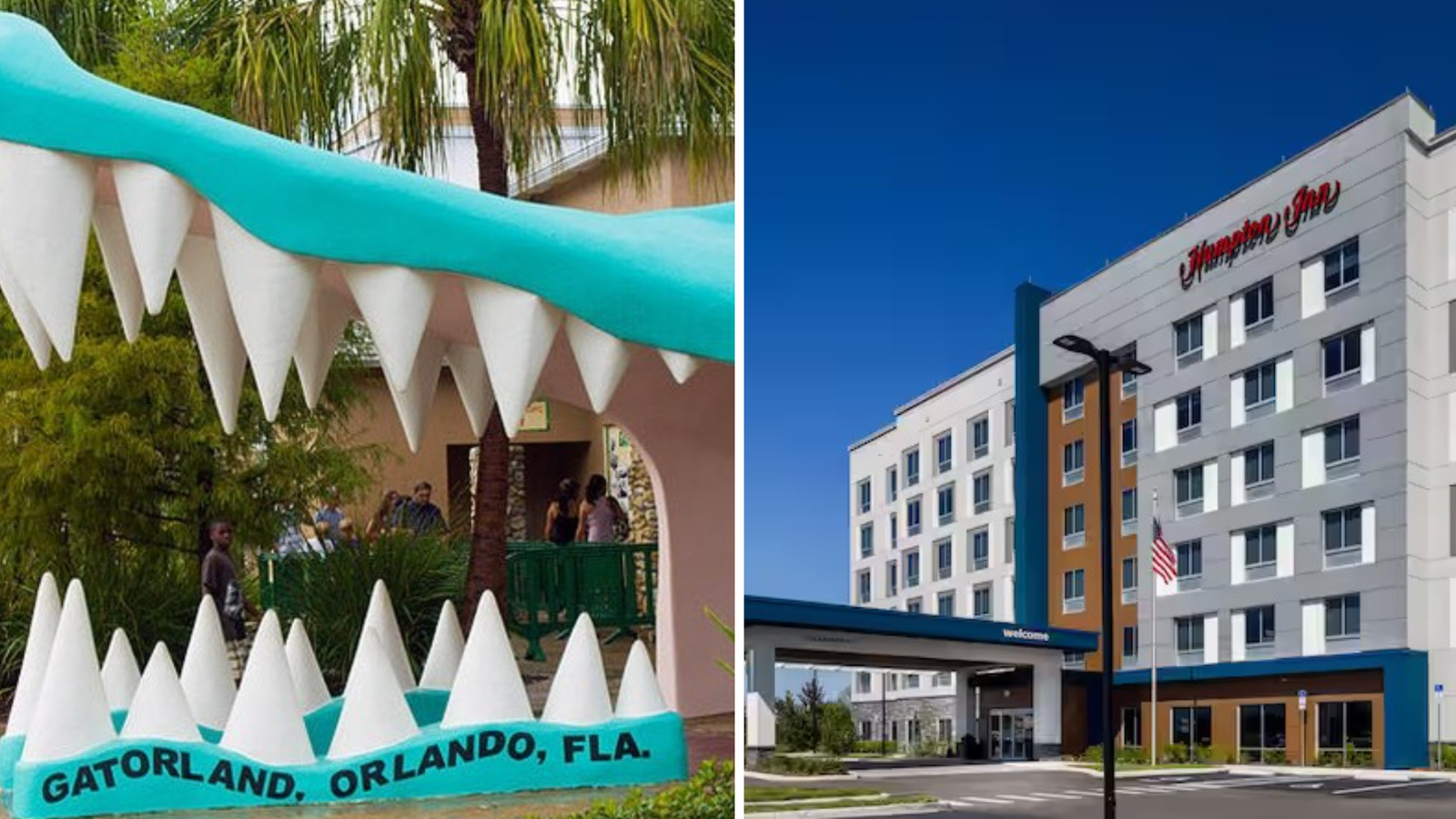 Hotel Near Gatorland in Orlando