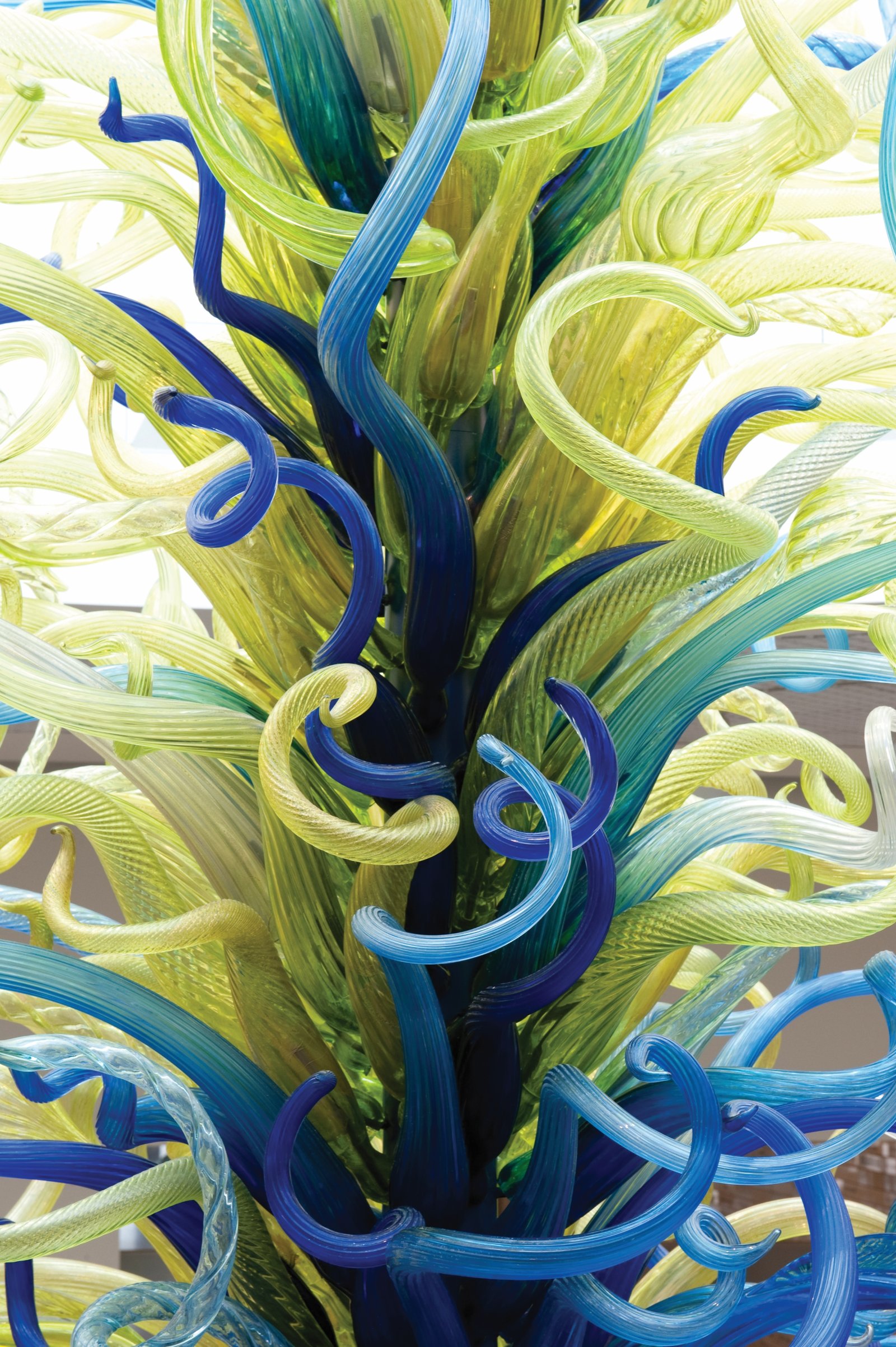Orlando Chihuly sculpture Orlando Museum of Art
