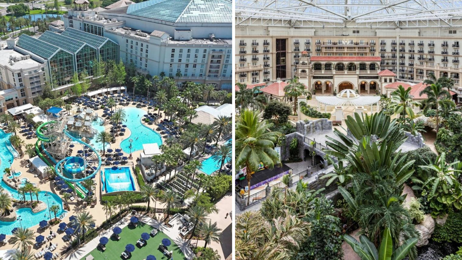 Gaylord Palms Resort & Convention Center Reviews