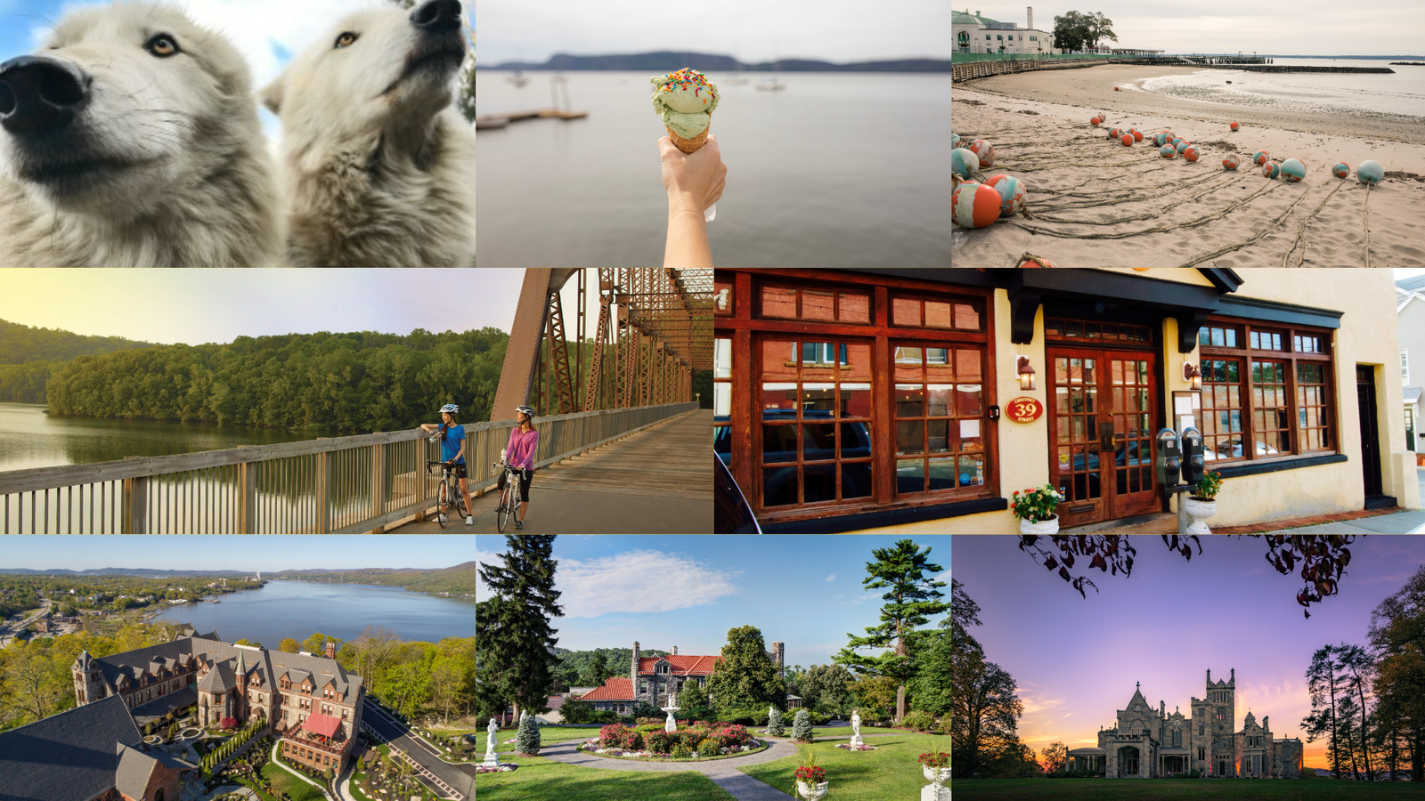 Westchester County Summer Activities